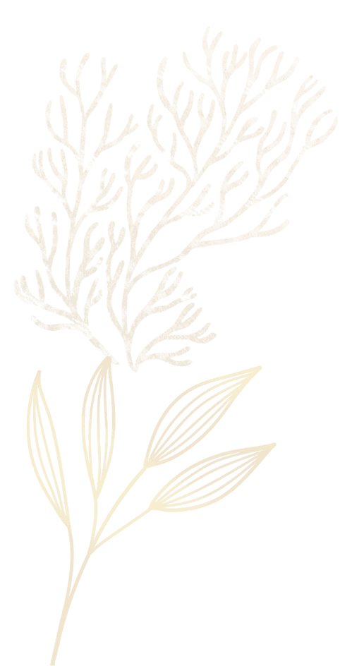 coral