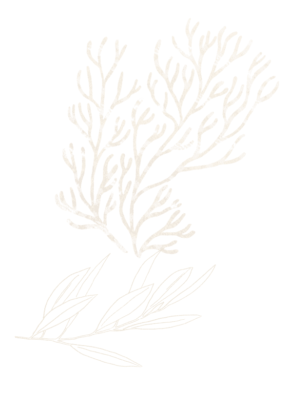 coral