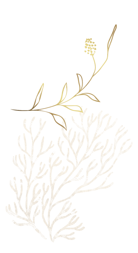coral