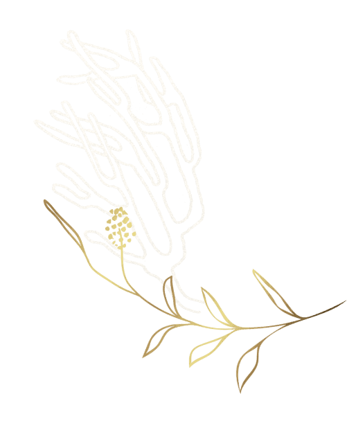 coral