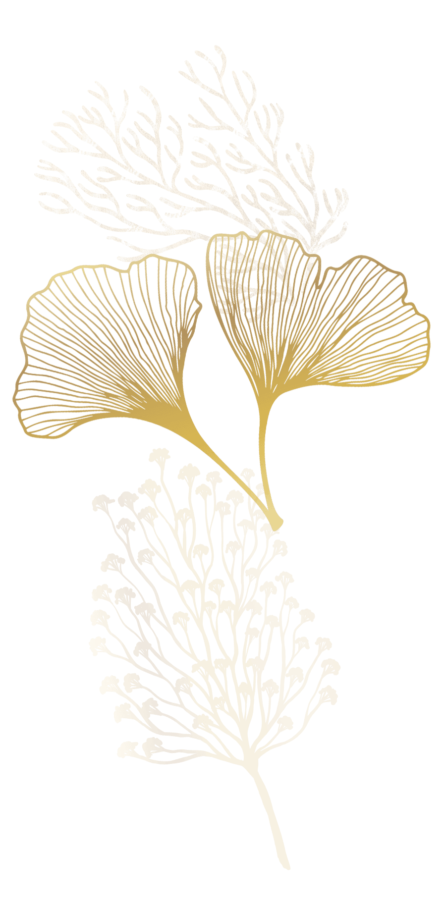 coral