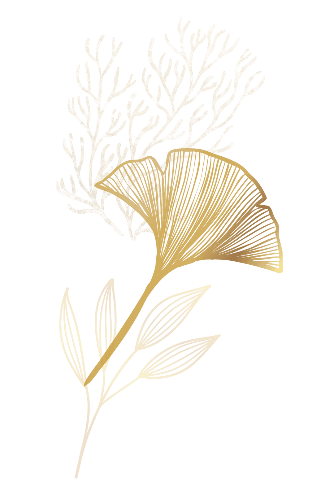 coral