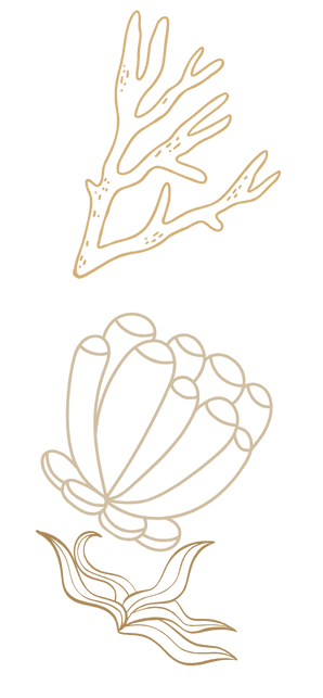 coral