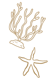 coral