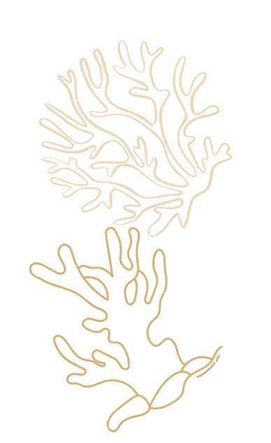 coral