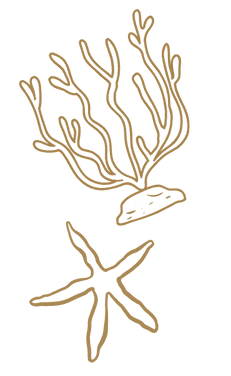 coral