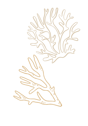 coral